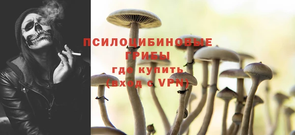 ALPHA-PVP Бугульма