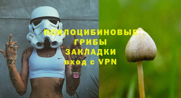 мескалин Богданович