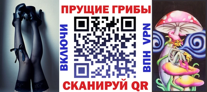 Купить Чита Галлюциногенные грибы Cubensis